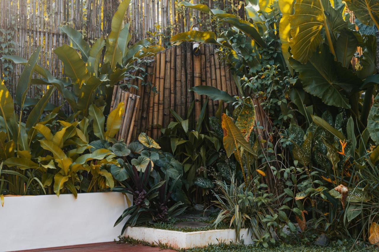 Villa Cali Siargao جنرال لونا المظهر الخارجي الصورة